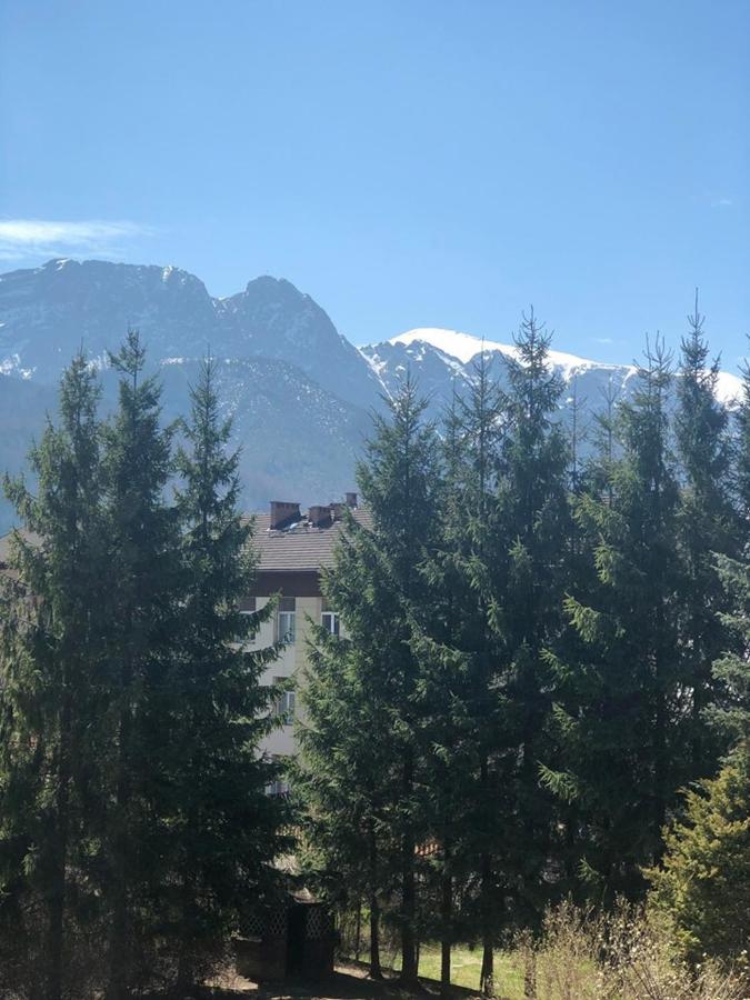 Vektron Apartment Zakopane Luaran gambar